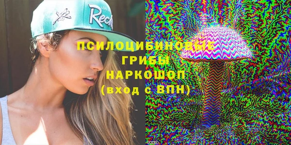 мдпв Арсеньев