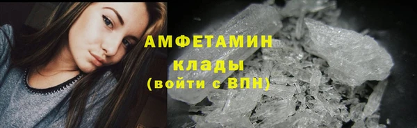гидра Аркадак