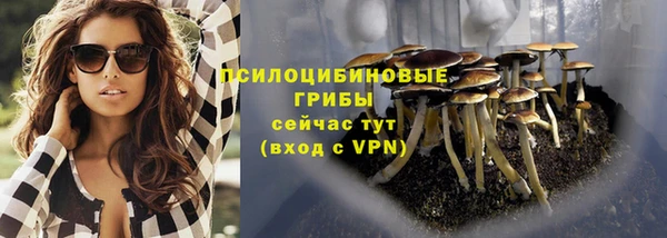 гидра Аркадак