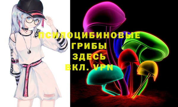 мдпв Арсеньев